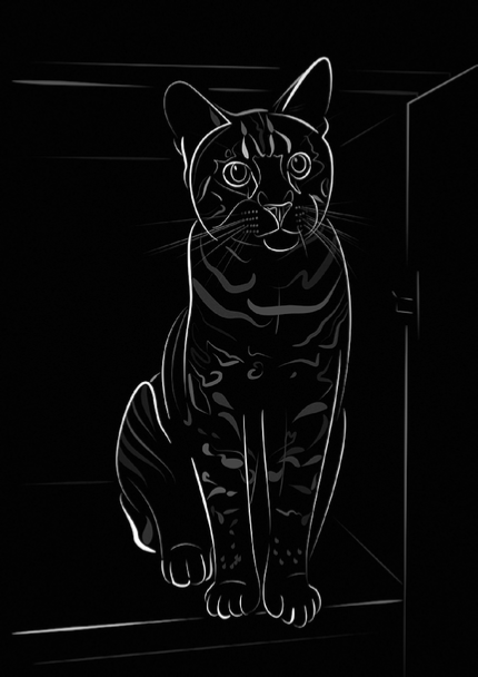 Badou, cat illustration by Nick Rumbelow